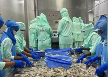 China Bans Japanese Seafood: ਚੀਨ ਵੱਲੋਂ ਜਾਪਾਨੀ ਸਮੁੰਦਰੀ ਭੋਜਨ ‘ਤੇ ਪਾਬੰਦੀ ਲਗਾਉਣ ਨਾਲ ਭਾਰਤ ਨੂੰ ਫਾਇਦਾ: ਭਾਰਤੀ ਕੰਪਨੀਆਂ ਦੇ ਸ਼ੇਅਰ ਵਧੇ China Bans Japanese Seafood: ਚੀਨ ਵੱਲੋਂ ਜਾਪਾਨੀ ਸਮੁੰਦਰੀ ਭੋਜਨ ‘ਤੇ ਪਾਬੰਦੀ ਲਗਾਉਣ ਨਾਲ ਭਾਰਤ ਨੂੰ ਫਾਇਦਾ: ਭਾਰਤੀ ਕੰਪਨੀਆਂ ਦੇ ਸ਼ੇਅਰ ਵਧੇ