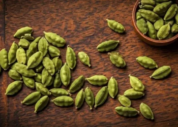 Health Tips : ਹਰ ਰੋਜ਼ ਚਬਾਓ 2 ਹਰੀਆਂ ਇਲਾਇਚੀਆਂ; ਦੂਰ ਹੋ ਜਾਣਗੀਆਂ ਇਹ ਸਿਹਤ ਸਮੱਸਿਆਵਾਂ