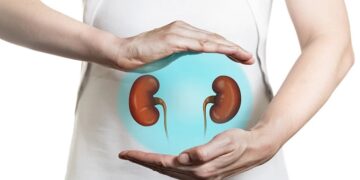 Health Tips : ਵਾਰ-ਵਾਰ ਗੁਰਦੇ ਦੀ ਪੱਥਰੀ ਹੋਣ ਦਾ ਇਹ ਹੈ ਸਭ ਤੋਂ ਵੱਡਾ ਕਾਰਨ! ਅੱਜ ਹੀ ਹੋ ਜਾਓ ਸਾਵਧਾਨ