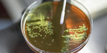 HEALTH & MEDICINE : ਗਰਭ ਅਵਸਥਾ ਦੌਰਾਨ ਐਂਟੀਬਾਇਓਟਿਕ ਦੀ ਵਰਤੋਂ ਬੱਚਿਆਂ ਵਿੱਚ ਵਧਾ ਸਕਦੀ ਹੈ ਬੈਕਟੀਰੀਆ ਸੰਬੰਧੀ ਬਿਮਾਰੀ ਦਾ ਖਤਰਾ