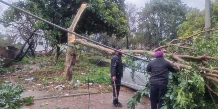 PSPCL NEWS: ਪੀ.ਐਸ.ਪੀ.ਸੀ.ਐਲ. ਸਟਾਫ਼ ਬਿਜਲੀ ਸਪਲਾਈ ਦੀ ਬਹਾਲੀ ਲਈ 24 ਘੰਟੇ ਸਰਗਰਮ