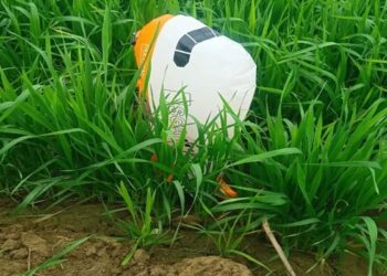 Haryana: ਖੇਤਾਂ ‘ਚੋਂ ਮਿਲਿਆ ਪਾਕਿਸਤਾਨੀ ਗੁਬਾਰਾ