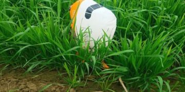 Haryana: ਖੇਤਾਂ ‘ਚੋਂ ਮਿਲਿਆ ਪਾਕਿਸਤਾਨੀ ਗੁਬਾਰਾ