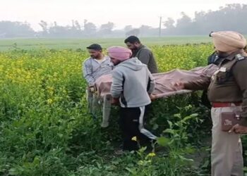 Punjab: ਵੱਡੇ ਭਰਾ ਨੇ ਕੀਤਾ ਛੋਟੇ ਭਰਾ ਦਾ ਕਤਲ; ਵਜ੍ਹਾ ਕਰ ਦੇਵੇਗੀ ਹੈਰਾਨ!