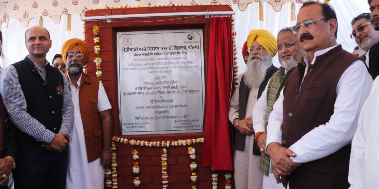 Punjab Government ਵੱਲੋਂ ਕਿਸਾਨਾਂ ਦੀ ਆਮਦਨ ਵਿੱਚ ਵਾਧਾ ਕਰਨ ਅਤੇ ਫਸਲੀ ਵਿਭਿੰਨਤਾ ਨੂੰ ਉਤਸ਼ਾਹਤ ਕਰਨ ਲਈ ਖੇਤੀਬਾੜੀ-ਪ੍ਰੋਸੈਸਿੰਗ ਯੂਨਿਟਾਂ ਦਾ ਵਿਸਥਾਰ