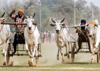 Sports: ਕਿਲਾ ਰਾਏਪੁਰ ਪੇਂਡੂ ਓਲੰਪਿਕ ਖੇਡਾਂ ਦਾ ਅੱਜ ਦੂਜਾ ਦਿਨ
