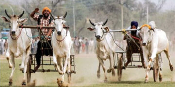 Sports: ਕਿਲਾ ਰਾਏਪੁਰ ਪੇਂਡੂ ਓਲੰਪਿਕ ਖੇਡਾਂ ਦਾ ਅੱਜ ਦੂਜਾ ਦਿਨ