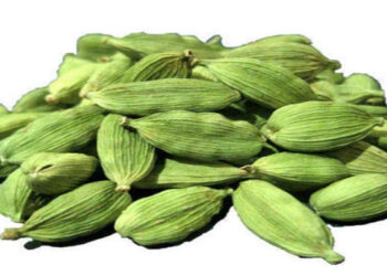 Health: ਛੋਟੀ ਜਿਹੀ ਇਲਾਇਚੀ ਕਰਦੀ ਹੈ ਕਈ ਸਿਹਤ ਸਮੱਸਿਆਵਾਂ ਦੂਰ, ਜਾਣੋ,ਕਿਹੜੀਆਂ ਸਮੱਸਿਆਵਾਂ ਤੋਂ ਪਾ ਸਕਦੇ ਹਾਂ ਛੁਟਕਾਰਾ ?