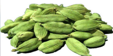 Health: ਛੋਟੀ ਜਿਹੀ ਇਲਾਇਚੀ ਕਰਦੀ ਹੈ ਕਈ ਸਿਹਤ ਸਮੱਸਿਆਵਾਂ ਦੂਰ, ਜਾਣੋ,ਕਿਹੜੀਆਂ ਸਮੱਸਿਆਵਾਂ ਤੋਂ ਪਾ ਸਕਦੇ ਹਾਂ ਛੁਟਕਾਰਾ ?