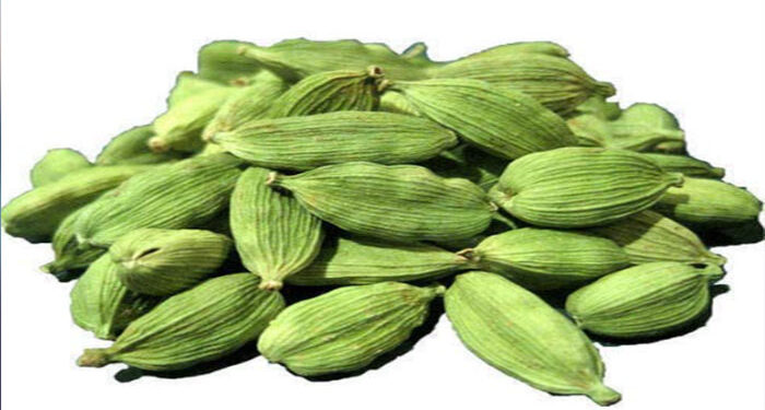 Health: ਛੋਟੀ ਜਿਹੀ ਇਲਾਇਚੀ ਕਰਦੀ ਹੈ ਕਈ ਸਿਹਤ ਸਮੱਸਿਆਵਾਂ ਦੂਰ, ਜਾਣੋ,ਕਿਹੜੀਆਂ ਸਮੱਸਿਆਵਾਂ ਤੋਂ ਪਾ ਸਕਦੇ ਹਾਂ ਛੁਟਕਾਰਾ ?