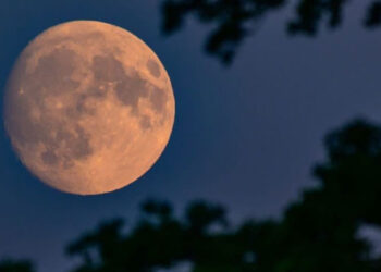 Chandra Grahan: ਅੱਜ ਲੱਗੇਗਾ ਸਾਲ ਦਾ ਪਹਿਲਾਂ ਚੰਦਰਮਾ ਗ੍ਰਹਿਣ, ਪੜ੍ਹੋ ਕਿੰਨੇ ਵਜੇ ਹੋਵੇਗਾ ਸ਼ੁਰੂ ? Chandra Grahan: ਅੱਜ ਲੱਗੇਗਾ ਸਾਲ ਦਾ ਪਹਿਲਾਂ ਚੰਦਰਮਾ ਗ੍ਰਹਿਣ, ਪੜ੍ਹੋ ਕਿੰਨੇ ਵਜੇ ਹੋਵੇਗਾ ਸ਼ੁਰੂ ?