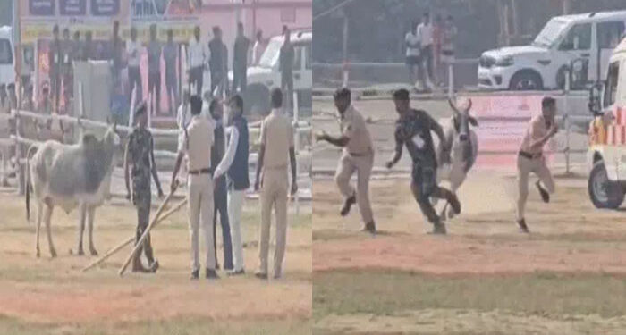 Breaking: ਬਿਹਾਰ ਦੇ CM ਨਿਤੀਸ਼ ਕੁਮਾਰ ਦੀ ਸੁਰੱਖਿਆ ‘ਚ ਚੂਕ: ਹੈਲੀਪੈਡ ਵਾਲੀ ਥਾਂ ‘ਤੇ ਜਾ ਵੜਿਆ ਸਾਨ੍ਹ Breaking: ਬਿਹਾਰ ਦੇ CM ਨਿਤੀਸ਼ ਕੁਮਾਰ ਦੀ ਸੁਰੱਖਿਆ ‘ਚ ਚੂਕ: ਹੈਲੀਪੈਡ ਵਾਲੀ ਥਾਂ ‘ਤੇ ਜਾ ਵੜਿਆ ਸਾਨ੍ਹ
