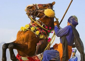 Anandpur Sahib : ਖਾਲਸਾਈ ਜਾਹੋ-ਜਲਾਲ ਅਤੇ ਸੂਰਬੀਰਤਾ ਦੇ ਪ੍ਰਤੀਕ ‘ਹੋਲਾ-ਮਹੱਲਾ’ ਮੌਕੇ ਅਨੰਦਪੁਰ ਸਾਹਿਬ ‘ਚ ਲੱਗੀਆਂਂ ਰੌਣਕਾਂ