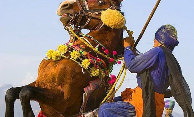 Anandpur Sahib : ਖਾਲਸਾਈ ਜਾਹੋ-ਜਲਾਲ ਅਤੇ ਸੂਰਬੀਰਤਾ ਦੇ ਪ੍ਰਤੀਕ ‘ਹੋਲਾ-ਮਹੱਲਾ’ ਮੌਕੇ ਅਨੰਦਪੁਰ ਸਾਹਿਬ ‘ਚ ਲੱਗੀਆਂਂ ਰੌਣਕਾਂ Anandpur Sahib : ਖਾਲਸਾਈ ਜਾਹੋ-ਜਲਾਲ ਅਤੇ ਸੂਰਬੀਰਤਾ ਦੇ ਪ੍ਰਤੀਕ ‘ਹੋਲਾ-ਮਹੱਲਾ’ ਮੌਕੇ ਅਨੰਦਪੁਰ ਸਾਹਿਬ ‘ਚ ਲੱਗੀਆਂਂ ਰੌਣਕਾਂ