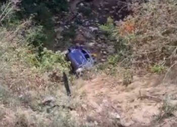 Himachal Pradesh: ਬੱਚਿਆਂ ਨੂੰ ਸਕੂਲ ਤੋਂ ਵਾਪਸ ਲੈ ਕੇ ਆ ਰਹੀ ਕਾਰ ਖੱਡ ਵਿੱਚ ਡਿੱਗੀ, 4 ਬੱਚੇ ਜ਼ਖਮੀ