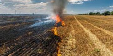 Punjab ‘ਚ ਕਣਕ ਦੀ ਵਾਢੀ ਦੌਰਾਨ ਰਹਿੰਦ-ਖੂੰਹਦ ਨੂੰ ਸਾੜਨ ਦਾ ਅਜੇ ਤੱਕ ਕੋਈ ਮਾਮਲਾ ਨਹੀਂ 