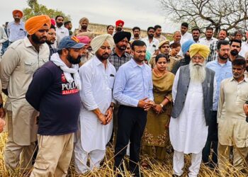 ਖੇਤੀਬਾੜੀ ਵਿਭਾਗ ਦੇ 500 ਤੋਂ ਵੱਧ ਮੁਲਾਜ਼ਮ ਫਸਲਾਂ ਦੇ ਨੁਕਸਾਨ ਦਾ ਲੈਣਗੇ ਜਾਇਜ਼ਾ: ਗੁਰਮੀਤ ਸਿੰਘ ਖੁੱਡੀਆਂ ਖੇਤੀਬਾੜੀ ਵਿਭਾਗ ਦੇ 500 ਤੋਂ ਵੱਧ ਮੁਲਾਜ਼ਮ ਫਸਲਾਂ ਦੇ ਨੁਕਸਾਨ ਦਾ ਲੈਣਗੇ ਜਾਇਜ਼ਾ: ਗੁਰਮੀਤ ਸਿੰਘ ਖੁੱਡੀਆਂ