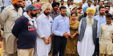 ਖੇਤੀਬਾੜੀ ਵਿਭਾਗ ਦੇ 500 ਤੋਂ ਵੱਧ ਮੁਲਾਜ਼ਮ ਫਸਲਾਂ ਦੇ ਨੁਕਸਾਨ ਦਾ ਲੈਣਗੇ ਜਾਇਜ਼ਾ: ਗੁਰਮੀਤ ਸਿੰਘ ਖੁੱਡੀਆਂ