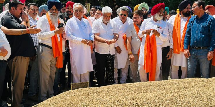 ਕੈਬਨਿਟ ਮੰਤਰੀ ਲਾਲ ਚੰਦ ਕਟਾਰੂਚੱਕ ਗੁਰਦਾਸਪੁਰ ਦਾਣਾ ਮੰਡੀ ਵਿਖੇ ਪਹੁੰਚੇ-ਕਣਕ ਦੇ ਖਰੀਦ ਪ੍ਰਬੰਧਾਂ ਦਾ ਲਿਆ ਜਾਇਜ਼ਾ