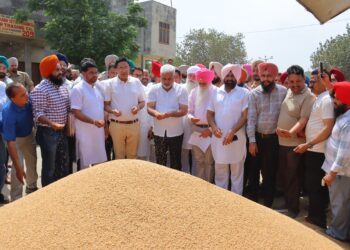 ਖ਼ੁਰਾਕ, ਸਿਵਲ ਸਪਲਾਈ ਤੇ ਖਪਤਕਾਰ ਮਾਮਲੇ ਮੰਤਰੀ ਲਾਲ ਚੰਦ ਕਟਾਰੂਚੱਕ ਨੇ ਭਗਤਾਂਵਾਲਾ ਦਾਣਾ ਮੰਡੀ ਵਿੱਚ ਕਣਕ ਦੀ ਚੱਲ ਰਹੀ ਖ਼ਰੀਦ ਦਾ ਜਾਇਜ਼ਾ ਲਿਆ