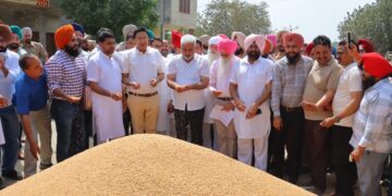 ਖ਼ੁਰਾਕ, ਸਿਵਲ ਸਪਲਾਈ ਤੇ ਖਪਤਕਾਰ ਮਾਮਲੇ ਮੰਤਰੀ ਲਾਲ ਚੰਦ ਕਟਾਰੂਚੱਕ ਨੇ ਭਗਤਾਂਵਾਲਾ ਦਾਣਾ ਮੰਡੀ ਵਿੱਚ ਕਣਕ ਦੀ ਚੱਲ ਰਹੀ ਖ਼ਰੀਦ ਦਾ ਜਾਇਜ਼ਾ ਲਿਆ