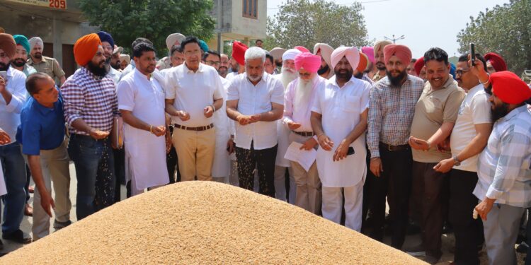 ਖ਼ੁਰਾਕ, ਸਿਵਲ ਸਪਲਾਈ ਤੇ ਖਪਤਕਾਰ ਮਾਮਲੇ ਮੰਤਰੀ ਲਾਲ ਚੰਦ ਕਟਾਰੂਚੱਕ ਨੇ ਭਗਤਾਂਵਾਲਾ ਦਾਣਾ ਮੰਡੀ ਵਿੱਚ ਕਣਕ ਦੀ ਚੱਲ ਰਹੀ ਖ਼ਰੀਦ ਦਾ ਜਾਇਜ਼ਾ ਲਿਆ