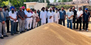 ਮੰਡੀਆਂ ਵਿੱਚ ਸੁਵਿਧਾਵਾਂ ਅਤੇ ਖਰੀਦ ਪ੍ਰਬੰਧਾਂ ਦਾ ਜਾਇਜ਼ਾ ਲੈਣ ਪਹੁੰਚੇ ਡਿਪਟੀ ਸਪੀਕਰ ਰੌੜੀ