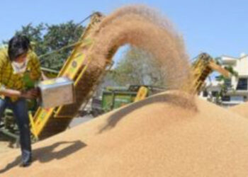 Punjab: FCI ਵੱਲੋਂ ਕਣਕ ਦੇ ਗੁਣਵੱਤਾ ਮਾਪਦੰਡਾਂ ਚ ਢਿੱਲ ਦੇਣ ਦੀ ਸਿਫ਼ਾਰਸ਼
