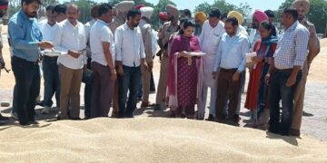 Punjab : ਗੜੇਮਾਰੀ ਤੇ ਭਾਰੀ ਮੀਂਹ ਕਾਰਨ ਪ੍ਰਭਾਵਿਤ ਫਸਲ ਦੀ ਖਰੀਦ ਵਿਚ ਕਿਸਾਨਾਂ ਦਾ ਵਿੱਤੀ ਨੁਕਸਾਨ ਨਹੀਂ ਹੋਣ ਦਿੱਤਾ ਜਾਵੇਗਾ: ਡਿਪਟੀ ਕਮਿਸ਼ਨਰ ਨਵਜੋਤ ਕੌਰ