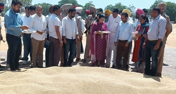 Punjab : ਗੜੇਮਾਰੀ ਤੇ ਭਾਰੀ ਮੀਂਹ ਕਾਰਨ ਪ੍ਰਭਾਵਿਤ ਫਸਲ ਦੀ ਖਰੀਦ ਵਿਚ ਕਿਸਾਨਾਂ ਦਾ ਵਿੱਤੀ ਨੁਕਸਾਨ ਨਹੀਂ ਹੋਣ ਦਿੱਤਾ ਜਾਵੇਗਾ: ਡਿਪਟੀ ਕਮਿਸ਼ਨਰ ਨਵਜੋਤ ਕੌਰ