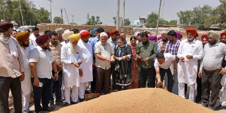 ਪੰਜਾਬ ਨੇ ਲਗਾਤਾਰ ਚੌਥੇ ਸਫਲ ਸੀਜ਼ਨ ‘ਚ ਨਾਲੋ-ਨਾਲ ਖ਼ਰੀਦ ਤੇ ਅਦਾਇਗੀ ਯਕੀਨੀ ਬਣਾਈ – ਲਾਲ ਚੰਦ ਕਟਾਰੂਚੱਕ