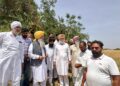 Punjab: ਖੇਤੀਬਾੜੀ ਮੰਤਰੀ ਨੇ ਬੇਮੌਸਮੀ ਬਰਸਾਤ ਅਤੇ ਗੜ੍ਹੇਮਾਰੀ ਕਾਰਨ ਫਸਲਾਂ ਦੇ ਹੋਏ ਨੁਕਸਾਨ ਦਾ ਲਿਆ ਜਾਇਜ਼ਾ