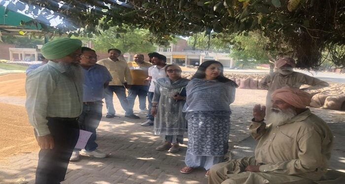 Mansa ਡੀਸੀ ਨਵਜੋਤ ਕੌਰ ਦੀਆਂ ਹਦਾਇਤਾਂ ‘ਤੇ ਏ.ਡੀ.ਸੀ ਅਤੇ ਉਪ ਮੰਡਲ ਮੈਜਿਸਟਰੇਟਾਂ ਨੇ ਅਨਾਜ ਮੰਡੀਆਂ ‘ਚ ਨਿਗਰਾਨੀ ਵਧਾਈ
