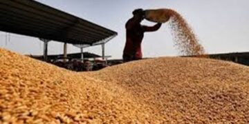 Punjab : ਬੇਮੌਸਮੀ ਬਾਰਿਸ਼ ਤੇ ਗੜ੍ਹੇਮਾਰੀ ਦੀ ਮਾਰ ਝੱਲ ਰਹੇ ਪੰਜਾਬ ਦੇ ਕਿਸਾਨਾਂ ਲਈ ਵੱਡੀ ਰਾਹਤ!