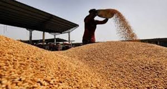 Punjab : ਬੇਮੌਸਮੀ ਬਾਰਿਸ਼ ਤੇ ਗੜ੍ਹੇਮਾਰੀ ਦੀ ਮਾਰ ਝੱਲ ਰਹੇ ਪੰਜਾਬ ਦੇ ਕਿਸਾਨਾਂ ਨੂੰ ਕੇਂਦਰ ਵੱਲੋਂ ਵੱਡੀ ਰਾਹਤ!