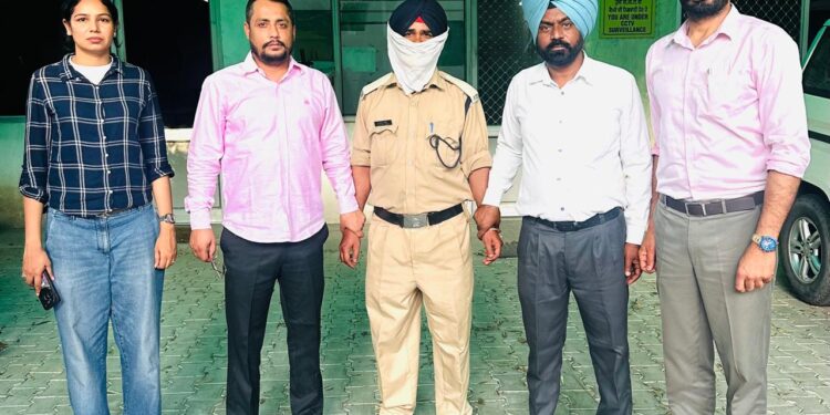 5000 ਰੁਪਏ ਰਿਸ਼ਵਤ ਲੈਂਦਾ ਗਲਾਡਾ ਦਾ ਸਕਿਉਰਿਟੀ ਗਾਰਡ ਵਿਜੀਲੈਂਸ ਬਿਊਰੋ ਨੇ ਰੰਗੇ ਹੱਥੀਂ ਕੀਤਾ ਕਾਬੂ