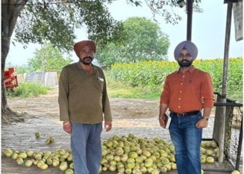 ਖਰਬੂਜ਼ੇ ਦੀ ਫਸਲ ਵਿੱਚ ਮੌਸਮੀ ਤਬਦੀਲੀ ਕਾਰਨ ਆ ਰਹੀਆਂ ਸਮੱਸਿਆਵਾਂ ਸਬੰਧੀ ਕਿਸਾਨਾਂ ਨੂੰ ਕੀਤਾ ਜਾਗਰੂਕ