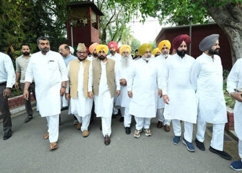 Punjab: ਮੁੱਖ ਮੰਤਰੀ ਭਗਵੰਤ ਮਾਨ ਅੱਜ ਰਾਸ਼ਟਰਪਤੀ ਦ੍ਰੋਪਦੀ ਮੁਰਮੂ ਨਾਲ ਕਰਨਗੇ ਮੁਲਾਕਾਤ