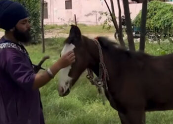 Punjab: ਨਿਹੰਗ ਸਿੰਘ ਘੋੜੇ ਸਮੇਤ ਨਹਿਰ ‘ਚ ਡੁੱਬਿਆ
