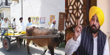 Punjab: ਰਾਜਾ ਵੜਿੰਗ ਰੇਹੜੇ’ ‘ਤੇ ਬੈਠ ਕੇ ਵੋਟ ਪਾਉਣ ਗਏ, ਅੱਗੋਂ CM ਮਾਨ ਨੇ ਕਿਹਾ – “ਮਾੜੇ ਦਿਨਾਂ ਦੀ ਨਿਸ਼ਾਨੀ, ਕੰਮਾਂ ਕਿਹੜਿਆਂ ਤੇ ਆ ਗਏ…..”