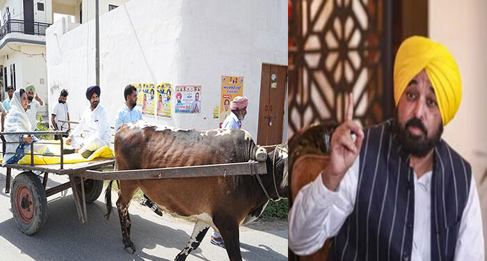 Punjab: ਰਾਜਾ ਵੜਿੰਗ ਰੇਹੜੇ’ ‘ਤੇ ਬੈਠ ਕੇ ਵੋਟ ਪਾਉਣ ਗਏ, ਅੱਗੋਂ CM ਮਾਨ ਨੇ ਕਿਹਾ – “ਮਾੜੇ ਦਿਨਾਂ ਦੀ ਨਿਸ਼ਾਨੀ, ਕੰਮਾਂ ਕਿਹੜਿਆਂ ਤੇ ਆ ਗਏ…..” Punjab: ਰਾਜਾ ਵੜਿੰਗ ਰੇਹੜੇ’ ‘ਤੇ ਬੈਠ ਕੇ ਵੋਟ ਪਾਉਣ ਗਏ, ਅੱਗੋਂ CM ਮਾਨ ਨੇ ਕਿਹਾ – “ਮਾੜੇ ਦਿਨਾਂ ਦੀ ਨਿਸ਼ਾਨੀ, ਕੰਮਾਂ ਕਿਹੜਿਆਂ ਤੇ ਆ ਗਏ…..”