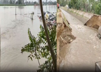 Punjab: ਨਹਿਰ ਵਿੱਚ ਪਿਆ ਪਾੜ, ਕਿਸਾਨਾਂ ਦੀ ਫਸਲ ਪਾਣੀ ‘ਚ ਡੁੱਬੀ