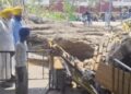 ਸ੍ਰੀ ਹਰਿਮੰਦਰ ਸਾਹਿਬ ਦਰਸ਼ਨਾਂ ਲਈ ਆਏ 13 ਸਾਲਾ ਬੱਚੇ ‘ਤੇ ਡਿੱਗਿਆ ਦਰੱਖਤ; ਮੌਤ ਸ੍ਰੀ ਹਰਿਮੰਦਰ ਸਾਹਿਬ ਦਰਸ਼ਨਾਂ ਲਈ ਆਏ 13 ਸਾਲਾ ਬੱਚੇ ‘ਤੇ ਡਿੱਗਿਆ ਦਰੱਖਤ; ਮੌਤ