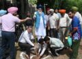 ਪੰਜਾਬ ਵਿਧਾਨ ਸਭਾ ਦੇ ਸਪੀਕਰ ਕੁਲਤਾਰ ਸਿੰਘ ਸੰਧਵਾਂ ਨੇ ਵਿਧਾਨ ਸਭਾ ਵਿੱਚ 40 ਤੋਂ ਵੱਧ ਫ਼ਲਦਾਰ ਬੂਟੇ ਲਗਾਏ ਪੰਜਾਬ ਵਿਧਾਨ ਸਭਾ ਦੇ ਸਪੀਕਰ ਕੁਲਤਾਰ ਸਿੰਘ ਸੰਧਵਾਂ ਨੇ ਵਿਧਾਨ ਸਭਾ ਵਿੱਚ 40 ਤੋਂ ਵੱਧ ਫ਼ਲਦਾਰ ਬੂਟੇ ਲਗਾਏ
