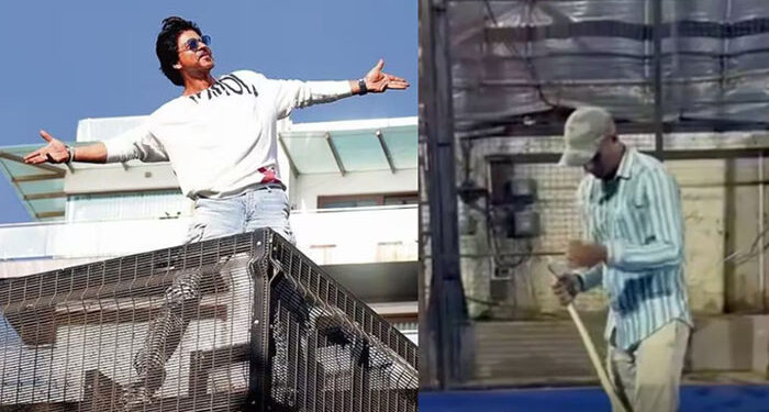 Entertainment: ਸ਼ਾਹਰੁਖ ਖਾਨ ਦੇ ਘਰ ਵਿੱਚ ਦੇਖੇ ਗਏ ਦੋ ਸੱਪ: ਬਚਾਅ ਟੀਮ ਨੇ ਇੱਕ ਨੂੰ ਫੜਿਆ Entertainment: ਸ਼ਾਹਰੁਖ ਖਾਨ ਦੇ ਘਰ ਵਿੱਚ ਦੇਖੇ ਗਏ ਦੋ ਸੱਪ: ਬਚਾਅ ਟੀਮ ਨੇ ਇੱਕ ਨੂੰ ਫੜਿਆ