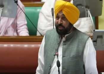 ਪੰਜਾਬ ਵਿਧਾਨ ਸਭਾ ‘ਚ ਗੂੰਜਿਆ E20 ਦਾ ਮੁੱਦਾ, CM ਮਾਨ ਨੇ ਘੇਰੀ ਕੇਂਦਰ ਸਰਕਾਰ
