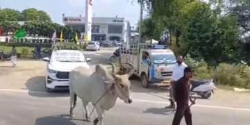 5 ਮਹੀਨਿਆਂ ਤੋਂ RC ਲਈ ਭਟਕ ਰਹੇ ਗਾਹਕ ਦਾ ਅਨੋਖਾ ਵਿਰੋਧ ਪ੍ਰਦਰਸ਼ਨ 5 ਮਹੀਨਿਆਂ ਤੋਂ RC ਲਈ ਭਟਕ ਰਹੇ ਗਾਹਕ ਦਾ ਅਨੋਖਾ ਵਿਰੋਧ ਪ੍ਰਦਰਸ਼ਨ