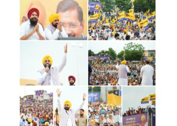 ਗਲਤੀ ਨਾਲ ਵੀ ਵਿਰੋਧੀ ਧਿਰਾਂ ਨੂੰ ਵੋਟ ਦੇ ਦਿੱਤੀ ਤਾਂ ਇਹ ਲੋਕ ਭਲਾਈ ਸਕੀਮਾਂ ਬੰਦ ਕਰਵਾ ਦੇਣਗੇ: ਮੁੱਖ ਮੰਤਰੀ ਭਗਵੰਤ ਸਿੰਘ ਮਾਨ ਗਲਤੀ ਨਾਲ ਵੀ ਵਿਰੋਧੀ ਧਿਰਾਂ ਨੂੰ ਵੋਟ ਦੇ ਦਿੱਤੀ ਤਾਂ ਇਹ ਲੋਕ ਭਲਾਈ ਸਕੀਮਾਂ ਬੰਦ ਕਰਵਾ ਦੇਣਗੇ: ਮੁੱਖ ਮੰਤਰੀ ਭਗਵੰਤ ਸਿੰਘ ਮਾਨ