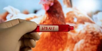 Australia : ਸਿਡਨੀ ਵਿੱਚ H5N1 ਬਰਡ ਫਲੂ ਦਾ ਪਹਿਲਾ ਮਾਮਲਾ ਆਇਆ ਸਾਹਮਣੇ
