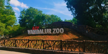 ਤਮਿਲਨਾਡੂ ਦੇ Vandalur zoo ਵਿੱਚ ਬਰਡ ਫਲੂ ਦੀ ਪੁਸ਼ਟੀ ; 2 ਦਿਨਾਂ ਲਈ ਆਮ ਲੋਕਾਂ ਦੇ ਦਾਖਲੇ ‘ਤੇ ਰੋਕ ਤਮਿਲਨਾਡੂ ਦੇ Vandalur zoo ਵਿੱਚ ਬਰਡ ਫਲੂ ਦੀ ਪੁਸ਼ਟੀ ; 2 ਦਿਨਾਂ ਲਈ ਆਮ ਲੋਕਾਂ ਦੇ ਦਾਖਲੇ ‘ਤੇ ਰੋਕ